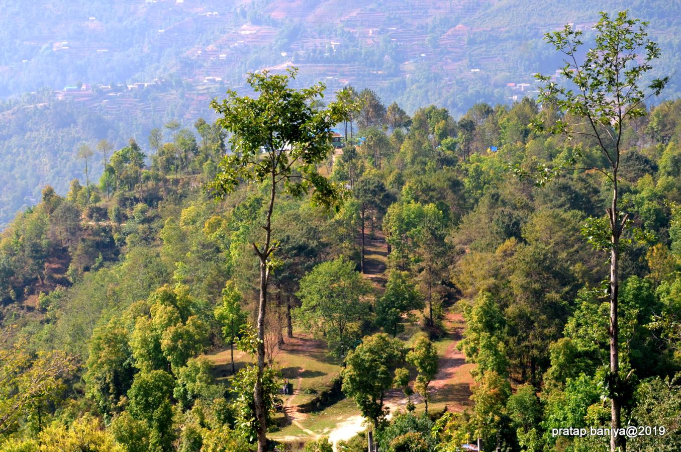 ठूलो सपना देख्नुहोस् कडा मेहनत गर्नुहोस्।